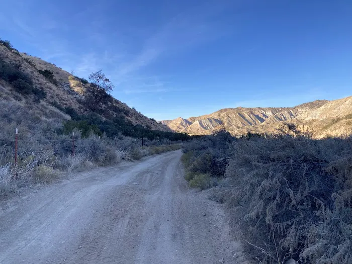 Ballinger Campground Picture 3