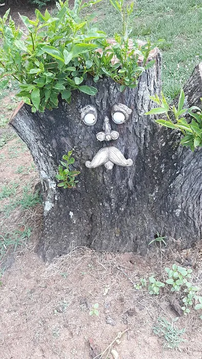 Carolina Village Picture 4