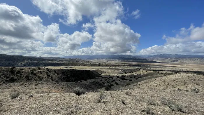 Songdog Ranch Picture 4