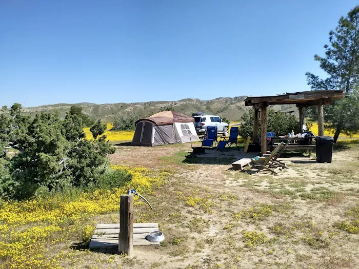 Songdog Ranch Picture 5