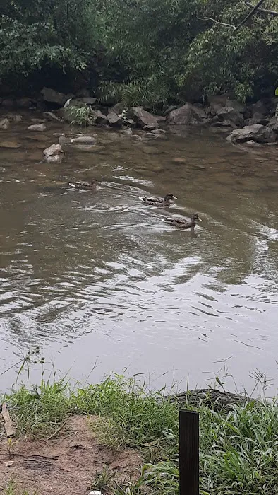 Salem Village Mobile Home Park Picture 5