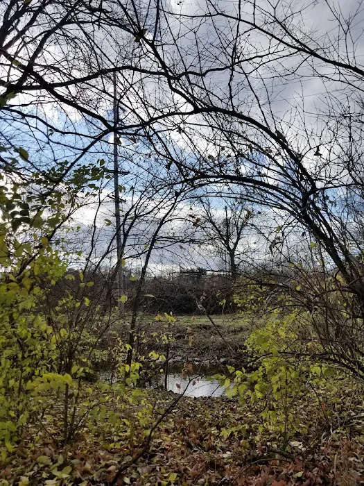 Salem Village Mobile Home Park Picture 6