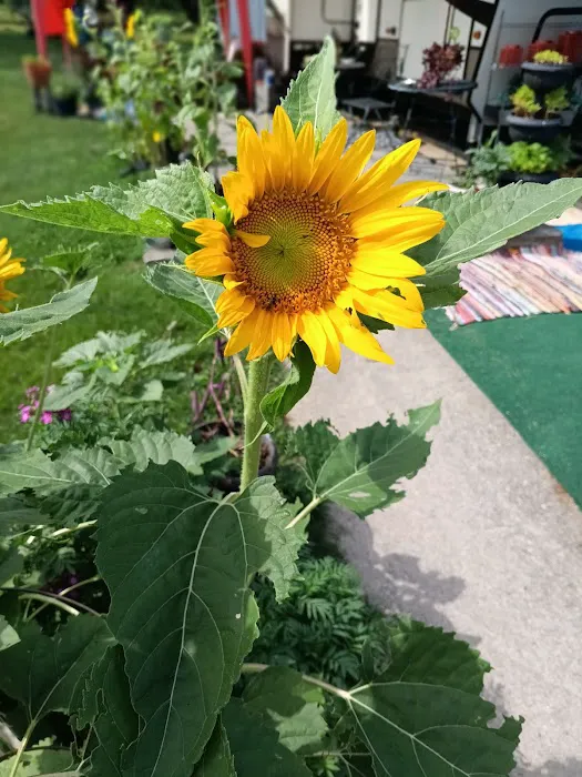 Salem Village Mobile Home Park Picture 3