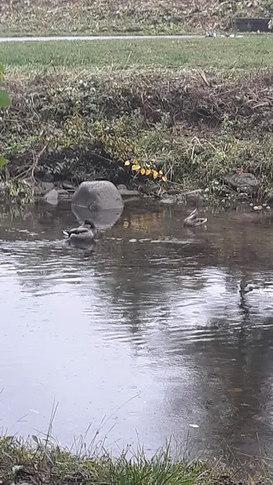 Salem Village Mobile Home Park Picture 10