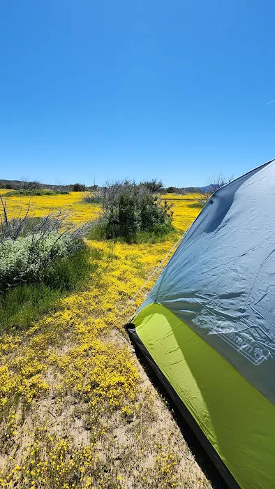 Campground Picture 8