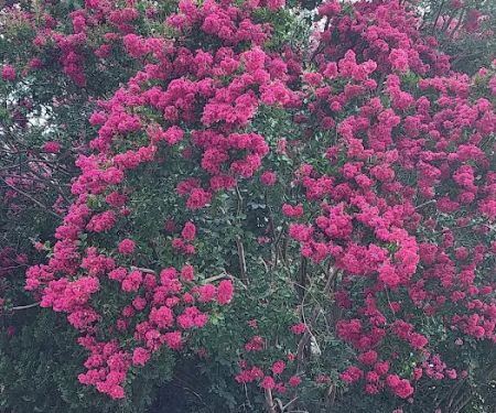 Rameys Mobile Home Park