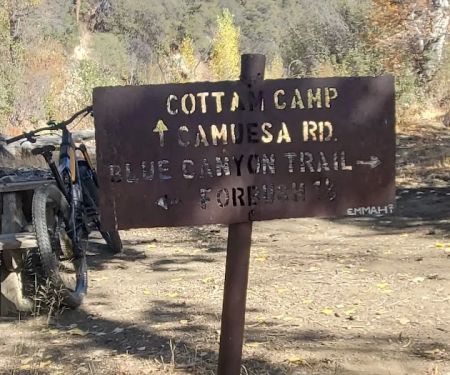 Cottam Camp