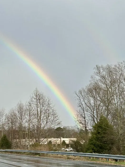 Yadkin Valley RV Resort Picture 2