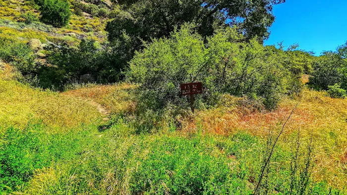 Mono Campground Picture 6