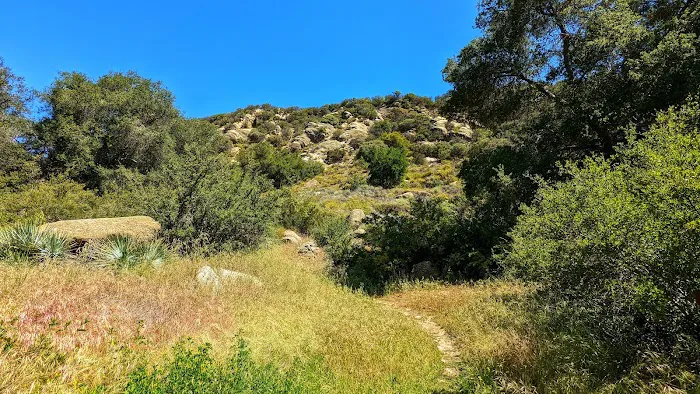 Mono Campground Picture 4