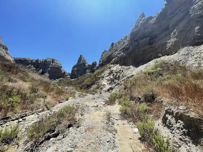San Onofre Bluffs Campground Picture 3