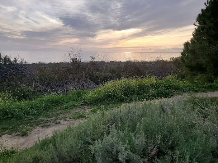 San Onofre Bluffs Campground Picture 2
