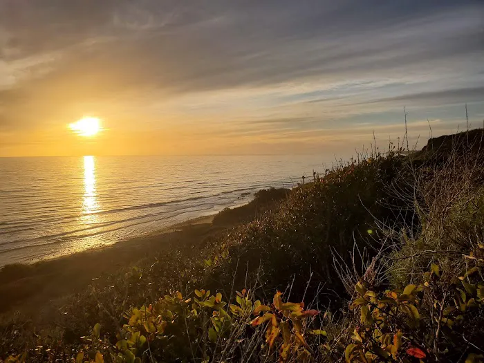 San Onofre Bluffs Campground Picture 1