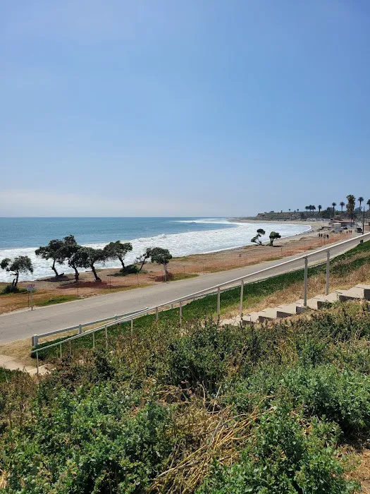 San Onofre Beach Campground Picture 3