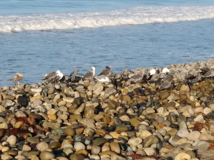 San Onofre Beach Campground Picture 5