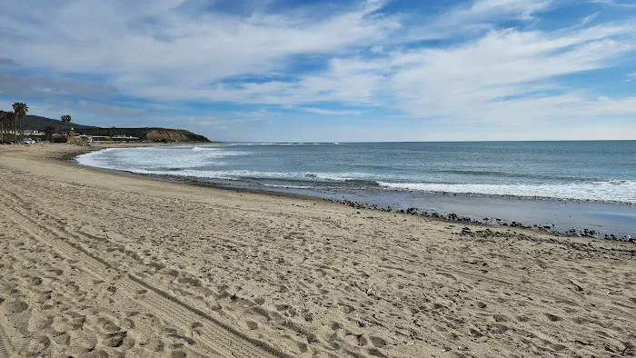 San Onofre Beach Campground Picture 2