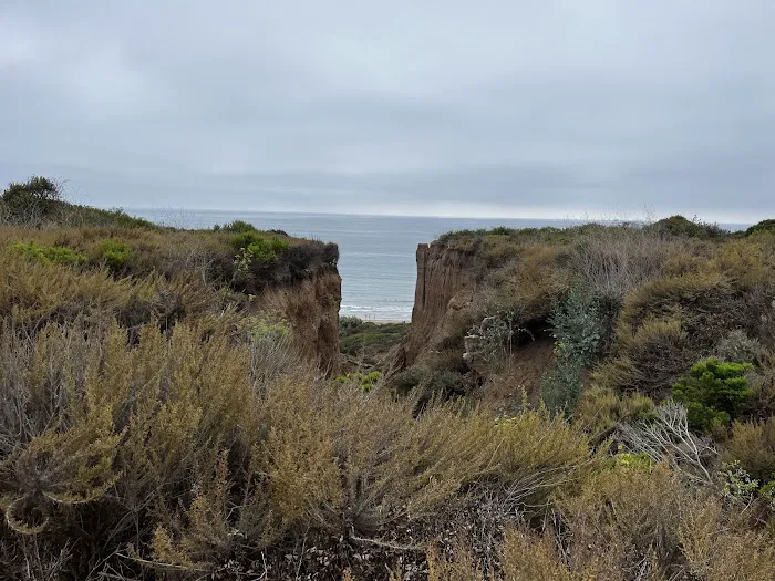 Restroom #13 Picture 2