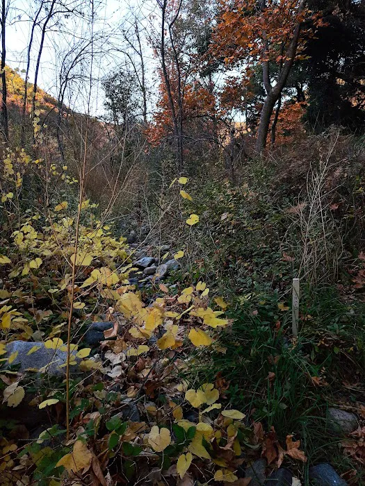 Fisherman's Camp Picture 3