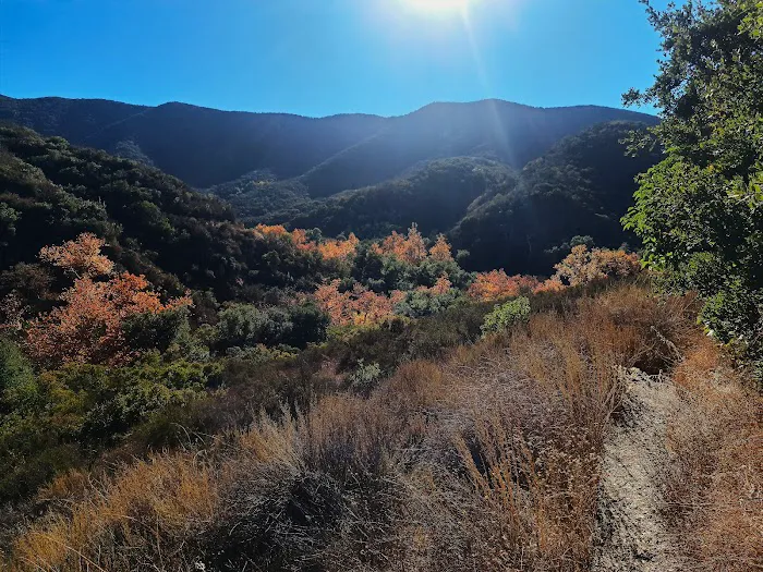 Fisherman's Camp Picture 2