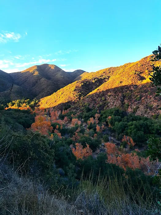 Fisherman's Camp Picture 1