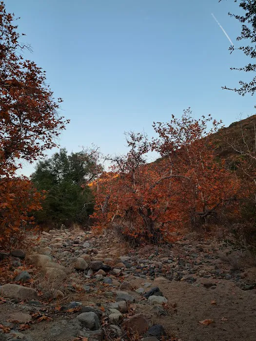 Fisherman's Camp Picture 5