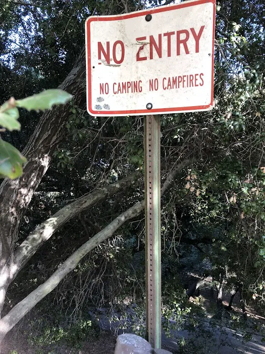 Upper San Juan Campground Picture 9