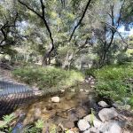 Upper San Juan Campground