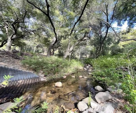 Upper San Juan Campground