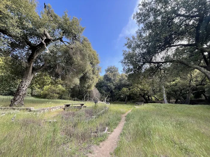 Upper San Juan Campground Picture 7