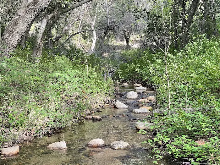 Upper San Juan Campground Picture 3
