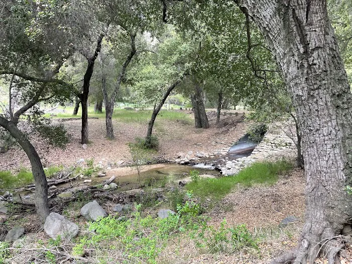 Upper San Juan Campground Picture 8