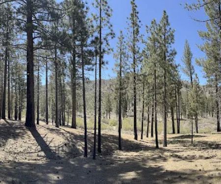 Little Bear Spring Trail Camp