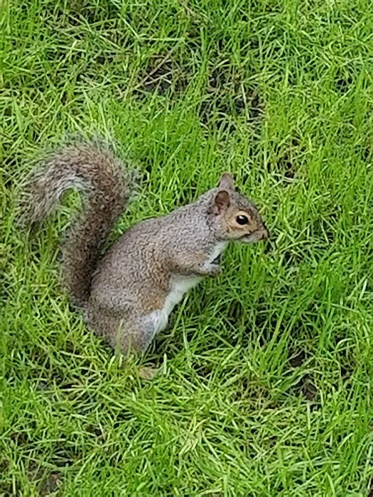 Shady Grove Mobile Home Park Picture 9