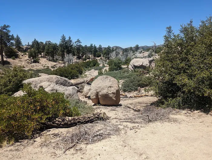 Hanna Flat Campground Picture 9