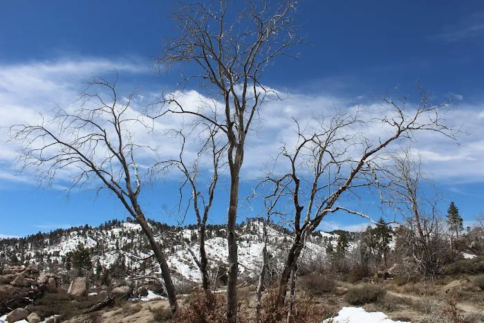 Hanna Flat Campground Picture 4