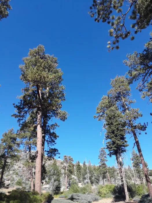 Hanna Flat Campground Picture 5