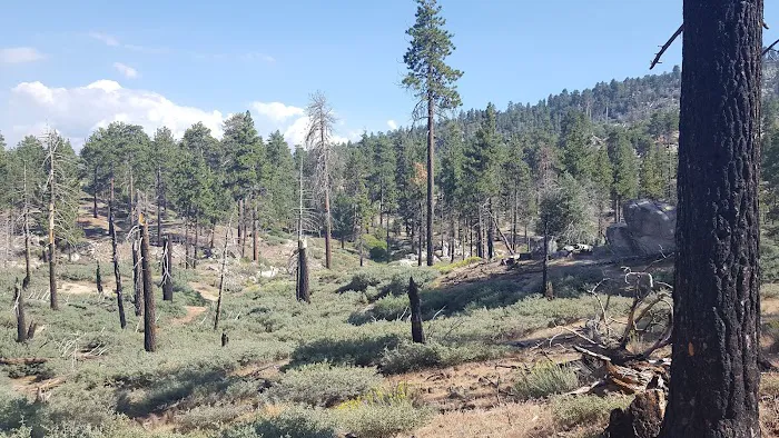 Gray's Peak Group Camp Picture 5