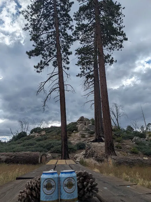 Gray's Peak Group Camp Picture 1