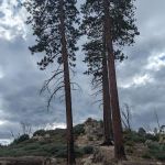 Gray's Peak Group Camp