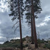 Gray's Peak Group Camp ico