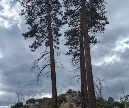 Gray's Peak Group Camp