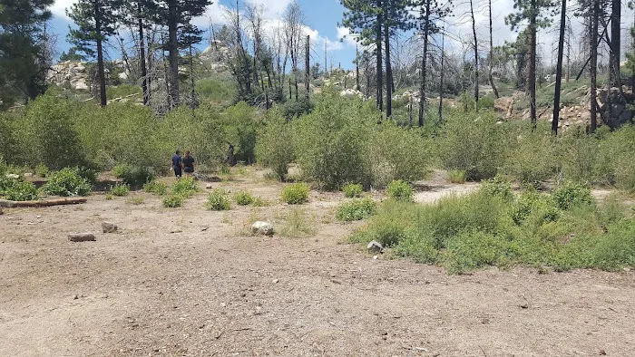 Gray's Peak Group Camp Picture 6