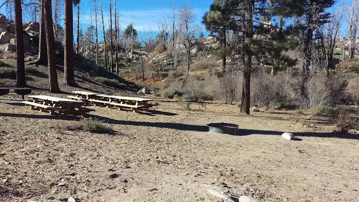 Gray's Peak Group Camp Picture 7