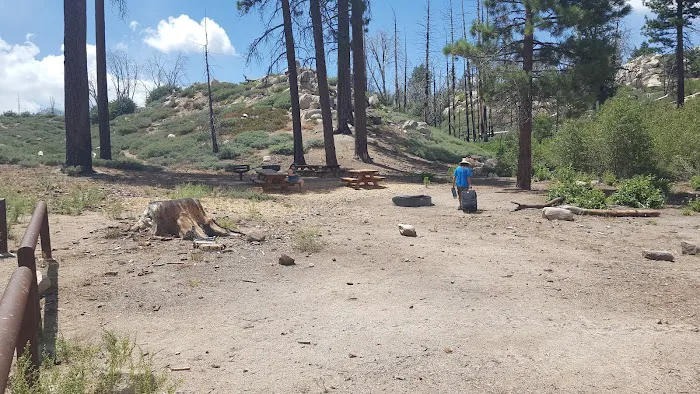 Gray's Peak Group Camp Picture 9