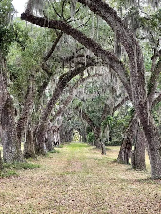 Montgomery Mobile Home Park Picture 2