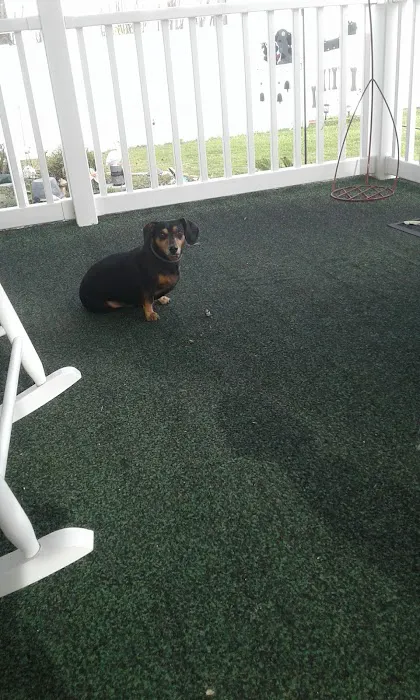 Montgomery Mobile Home Park Picture 3