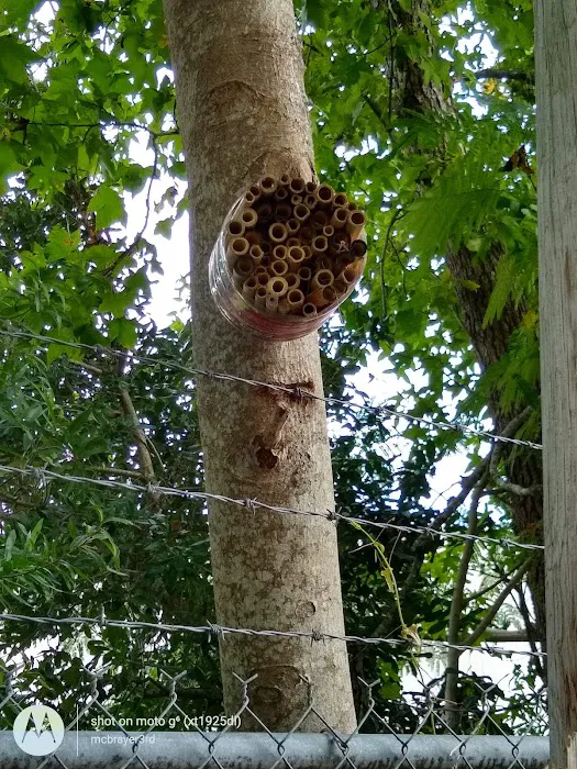 Montgomery Mobile Home Park Picture 4