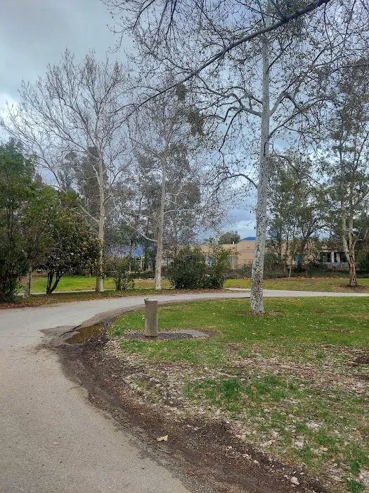 Yucaipa Regional Park RV Campground Picture 7