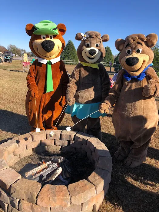 Yogi Bear's Jellystone Park at Daddy Joe's Picture 5