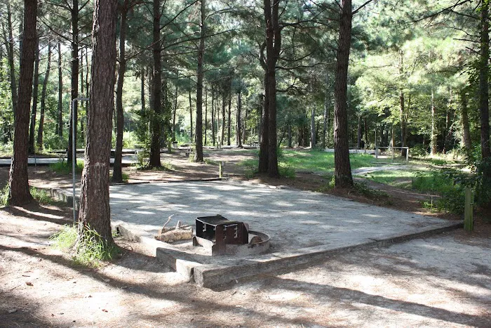 Yogi Bear's Jellystone Park at Daddy Joe's Picture 9